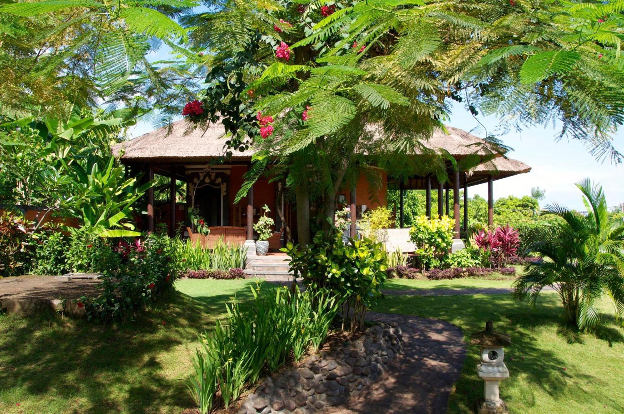 Villa Bali Pondok Jepang Lovina Zewnętrze zdjęcie